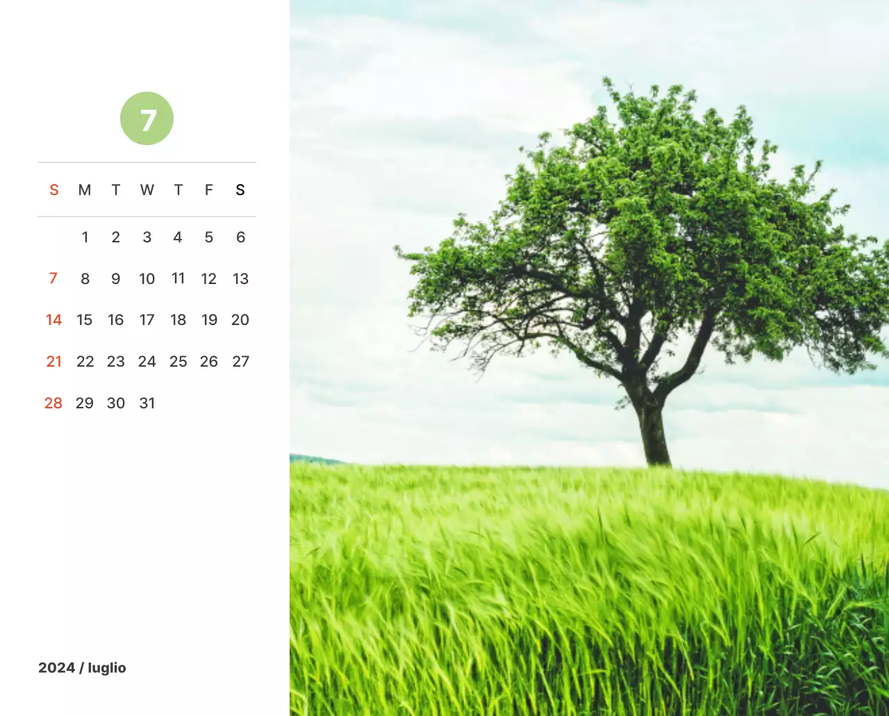 Calda fotografia di paesaggio con colori pastello