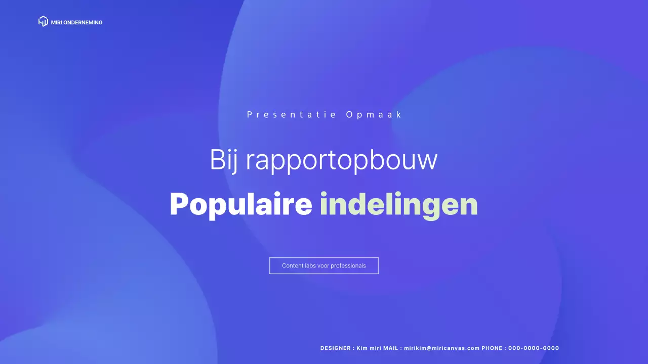 Een eenvoudig blauw opgemaakt bedrijfsprofiel