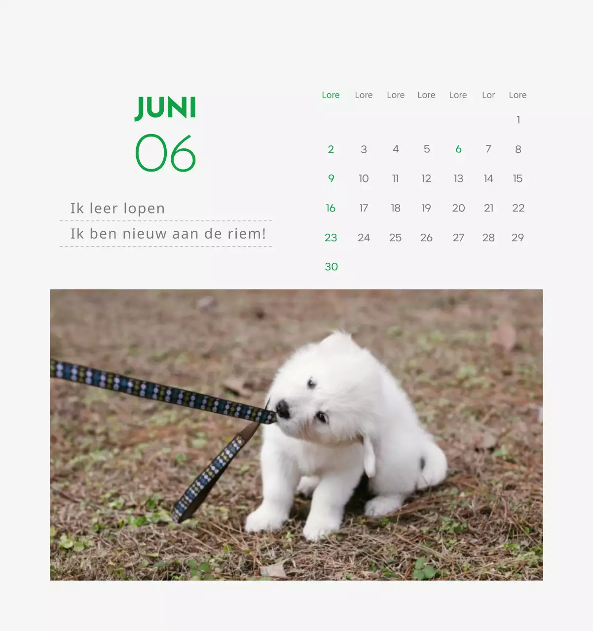Een kalender met een afbeelding van een puppy en een schattige boodschap in groene accenten