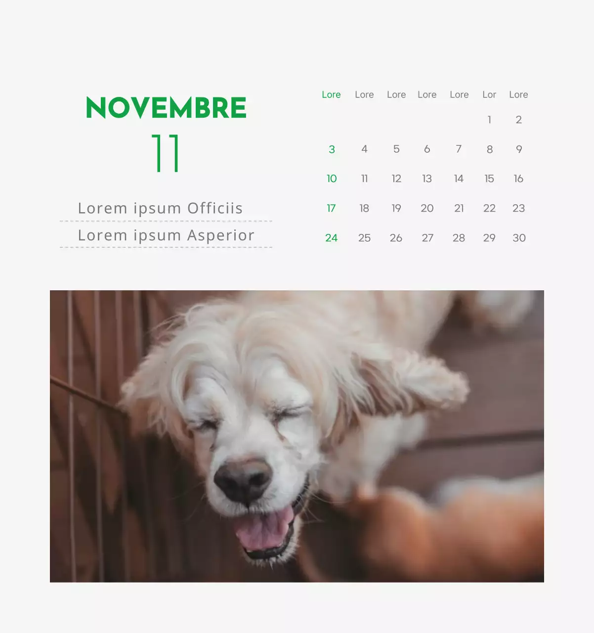 Un calendrier avec la photo d'un chiot et un message mignon aux accents verts.