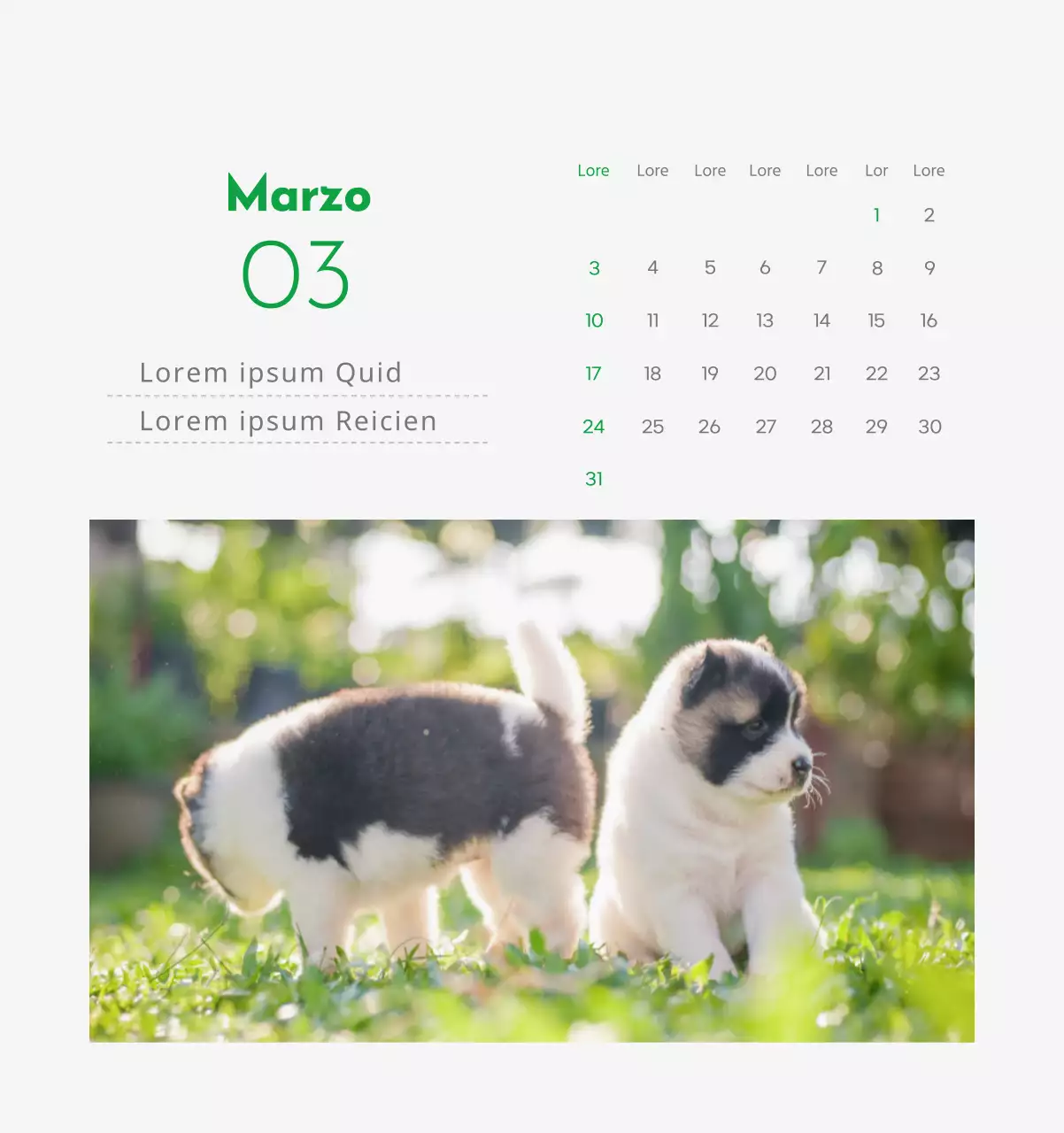 Un calendario con l'immagine di un cucciolo e un simpatico messaggio in verde.