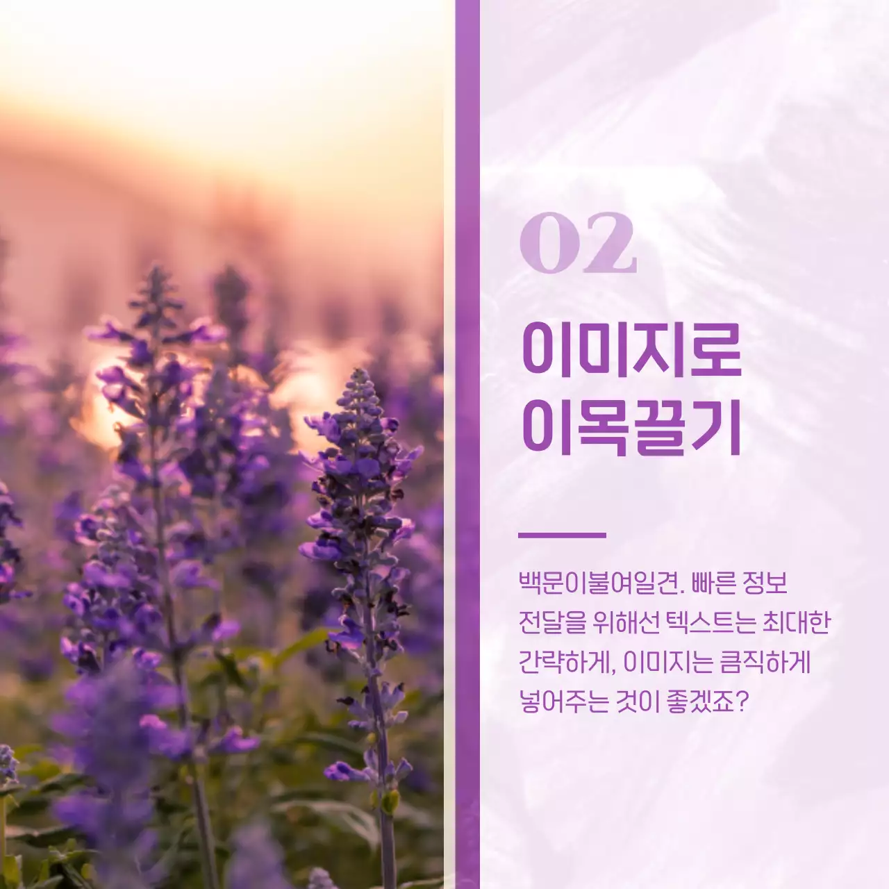 보라색의 미니멀한 마케팅 게시글