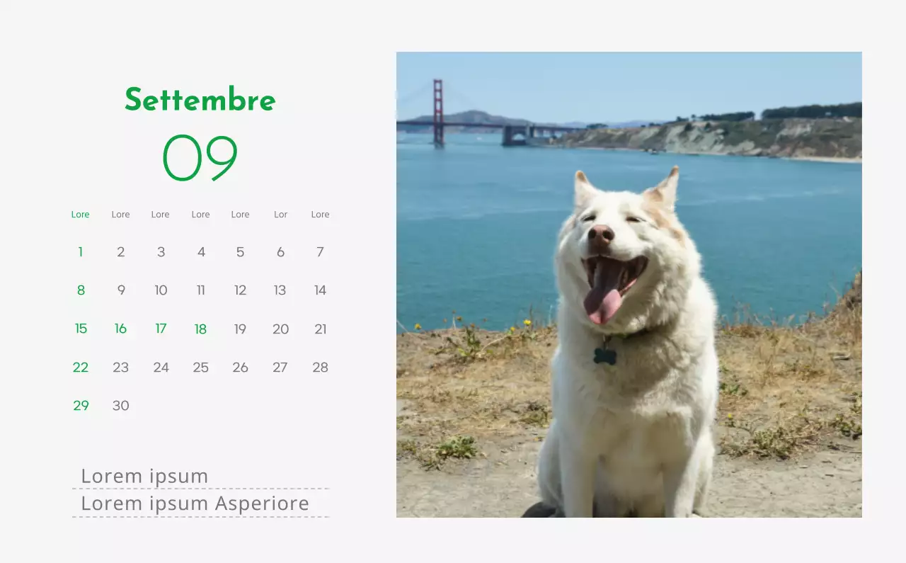 Un calendario con l'immagine di un cucciolo e un simpatico messaggio in verde.