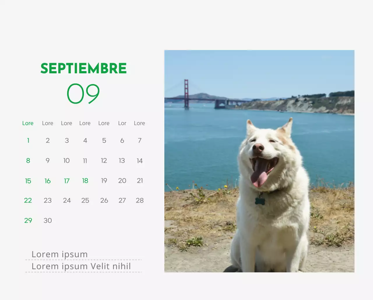 Un calendario con la imagen de un cachorro y un bonito mensaje en tonos verdes.