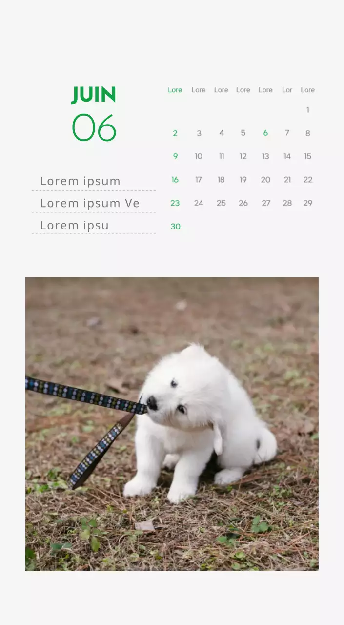 Un calendrier avec la photo d'un chiot et un message mignon aux accents verts.