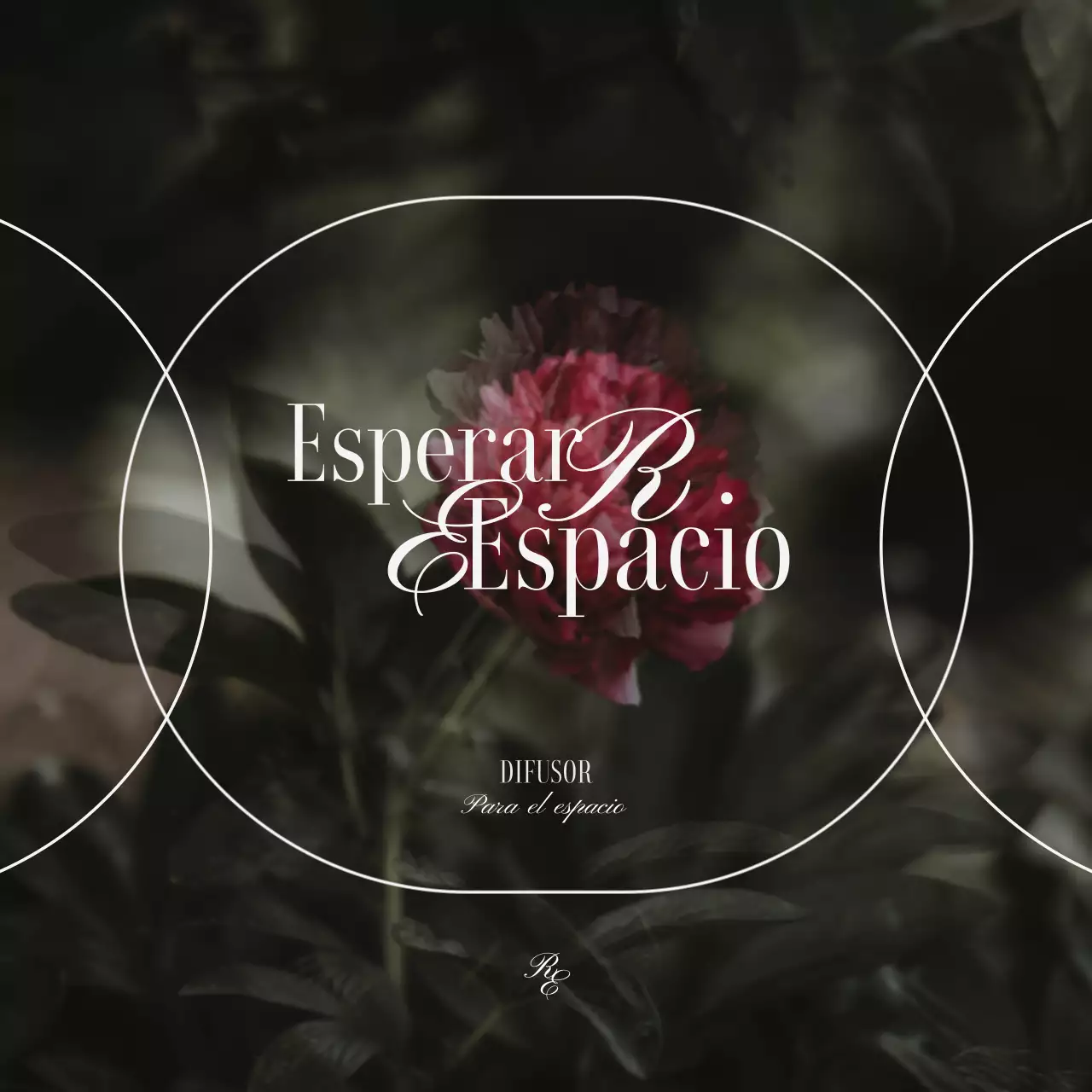 Un lujoso difusor con imágenes florales vintage en colores apagados para mostrar los productos.