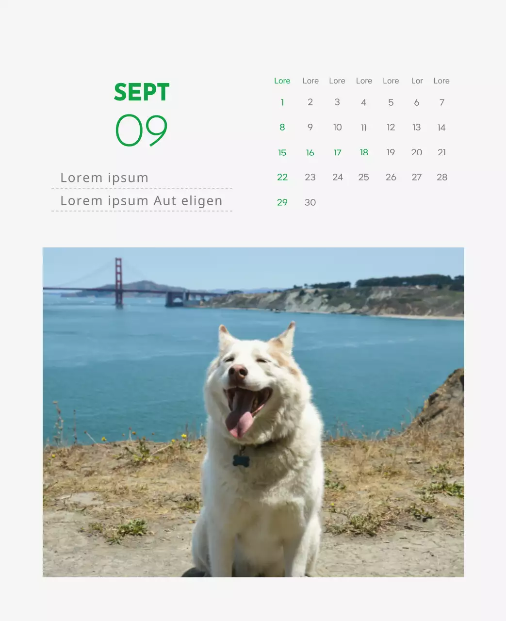 Un calendrier avec la photo d'un chiot et un message mignon aux accents verts.