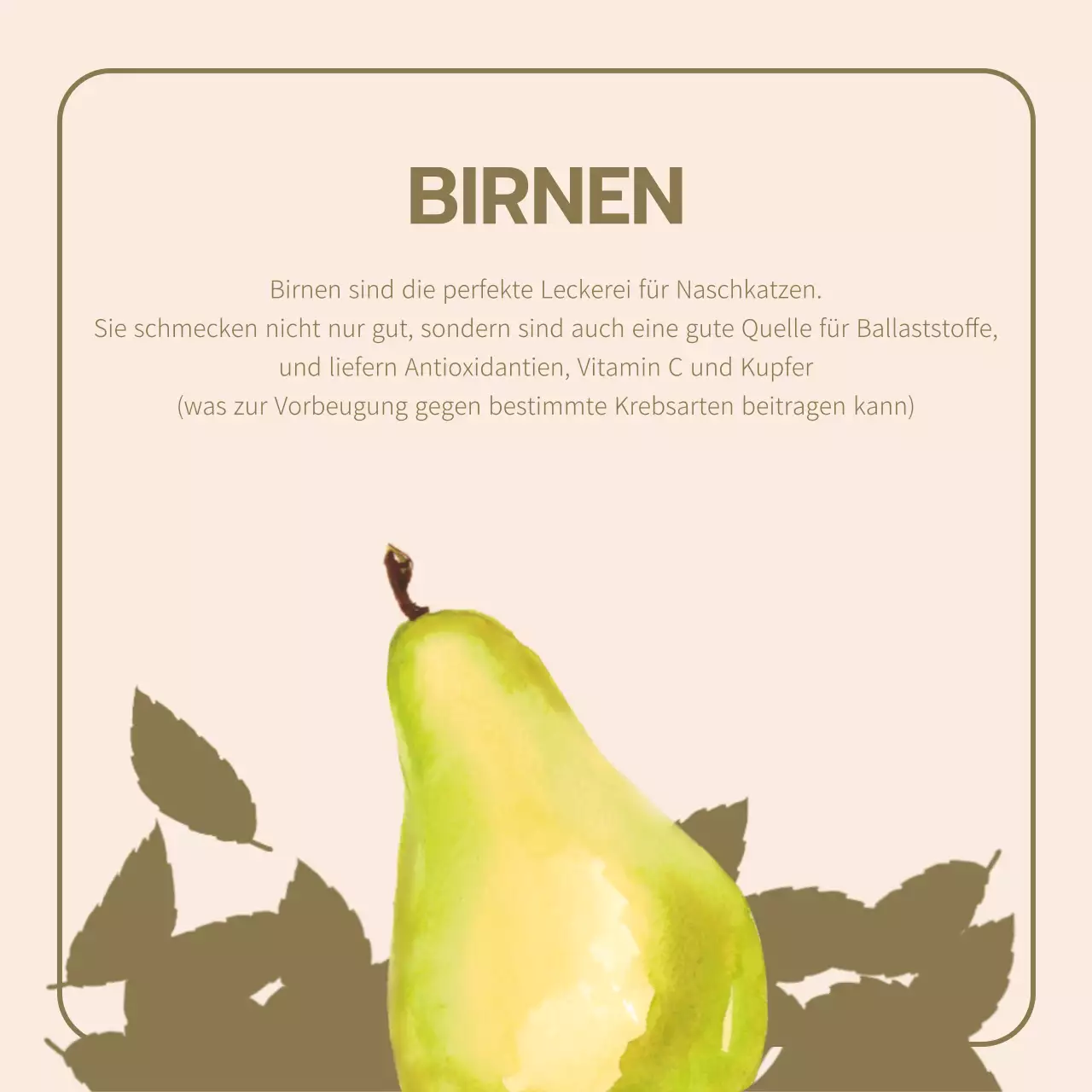 Förderung von Obst der Saison in Orange und Beige