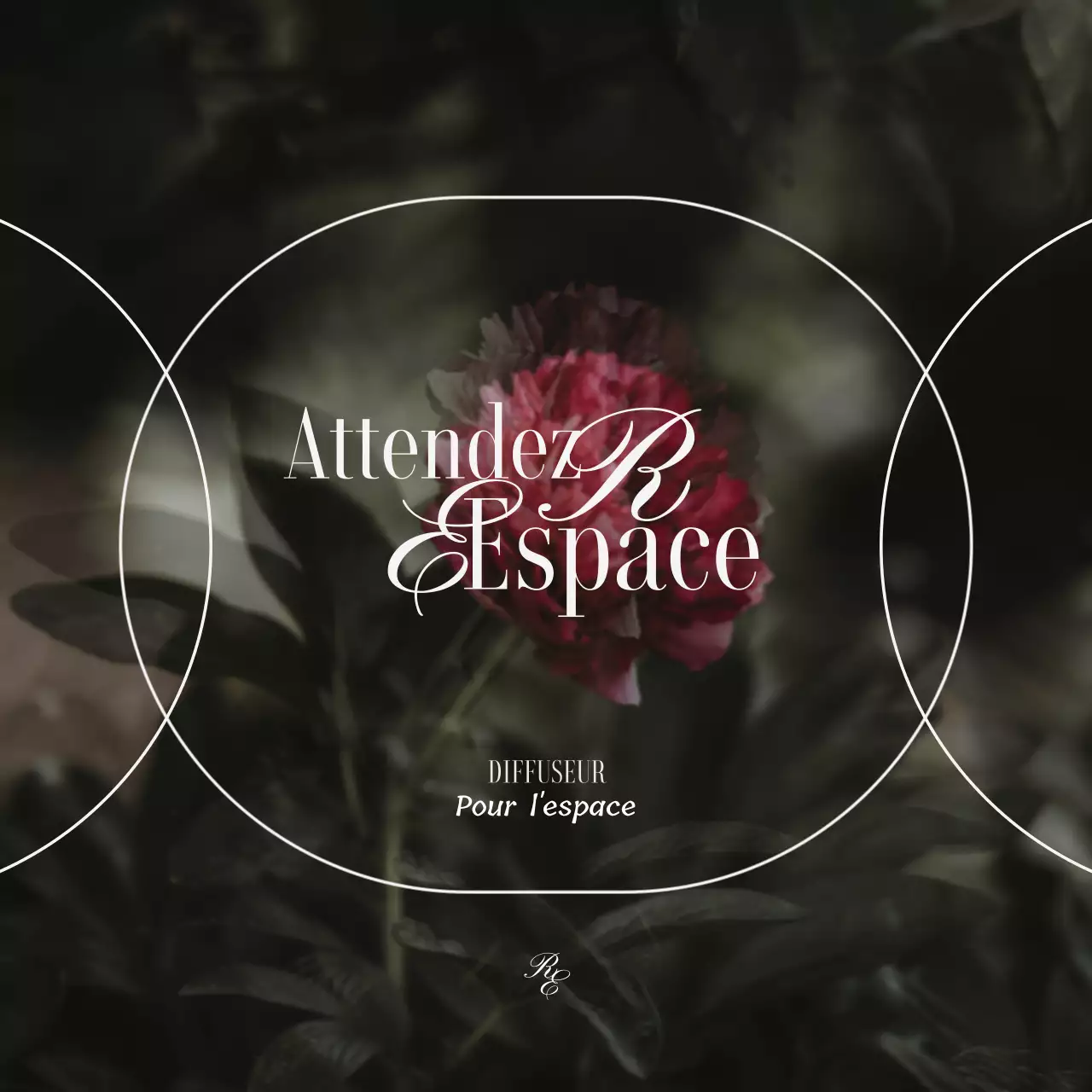 Un diffuseur luxueux avec une imagerie florale vintage dans des couleurs sourdes pour mettre en valeur les produits.