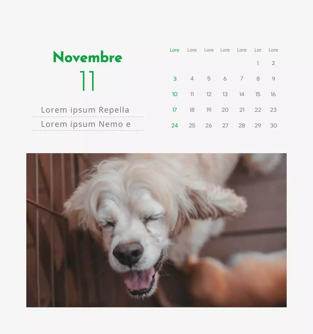Un calendario con l'immagine di un cucciolo e un simpatico messaggio in verde.