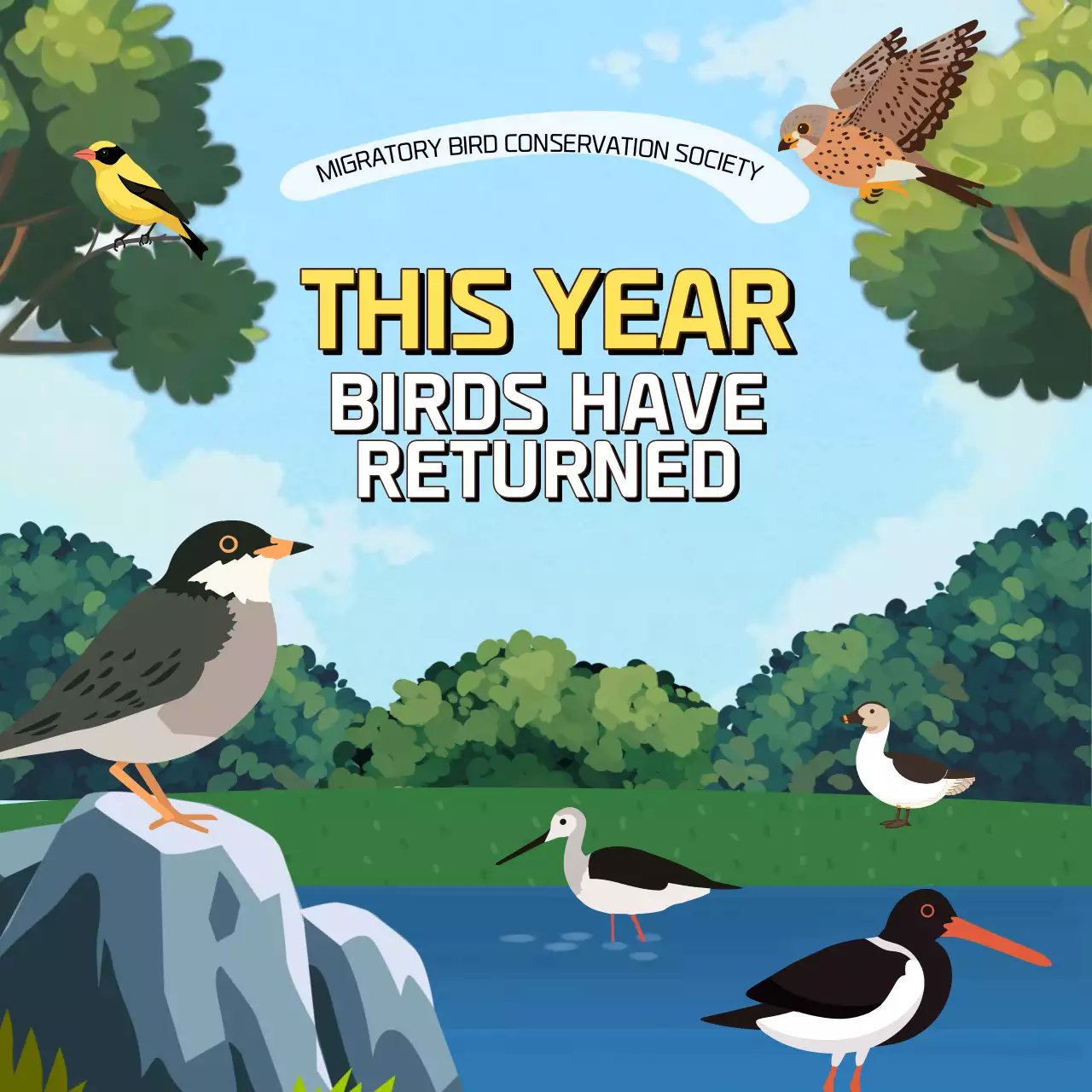 Blue Educational Bird Conservation Guide Instagram Carousel