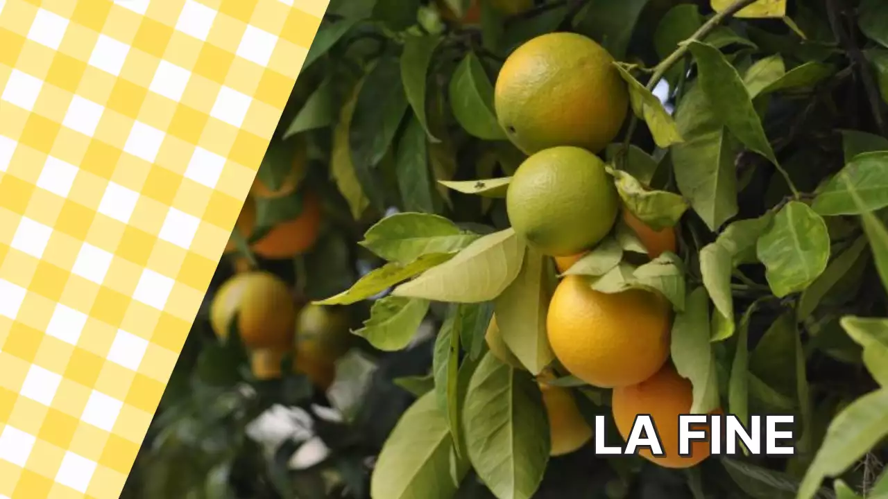 Proposta di collage fotografico di tendenza in bianco e giallo