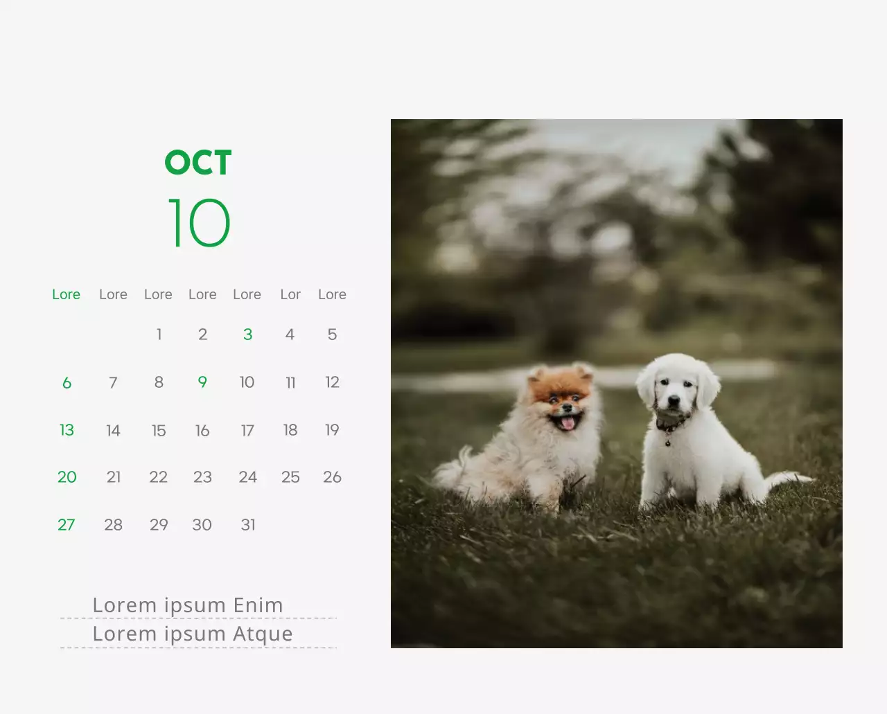 Un calendrier avec la photo d'un chiot et un message mignon aux accents verts.
