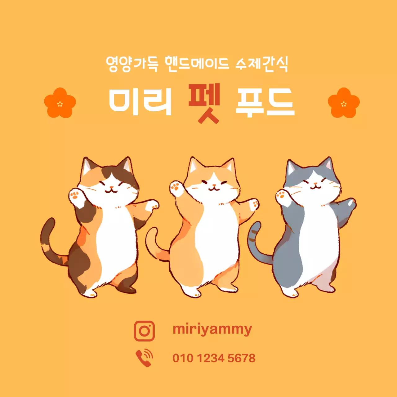 고양이 주황색 펫푸드 홍보