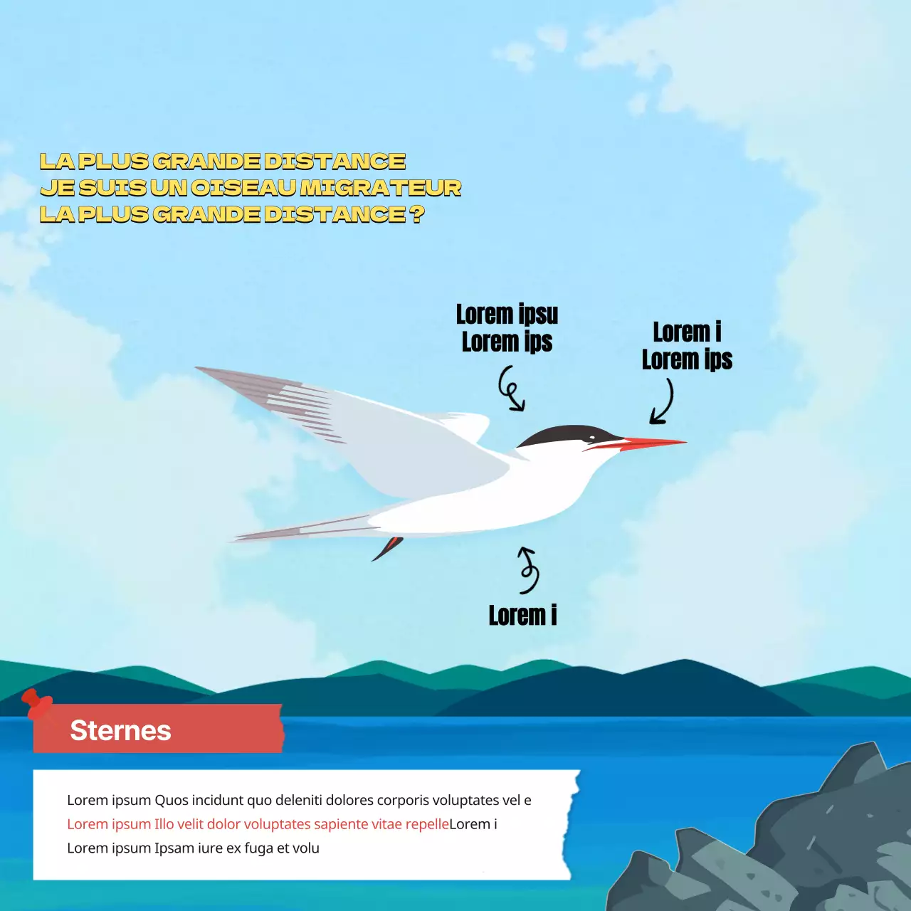 Ressources pédagogiques de la Journée mondiale des oiseaux migrateurs d'octobre tropical en vert et bleu clair