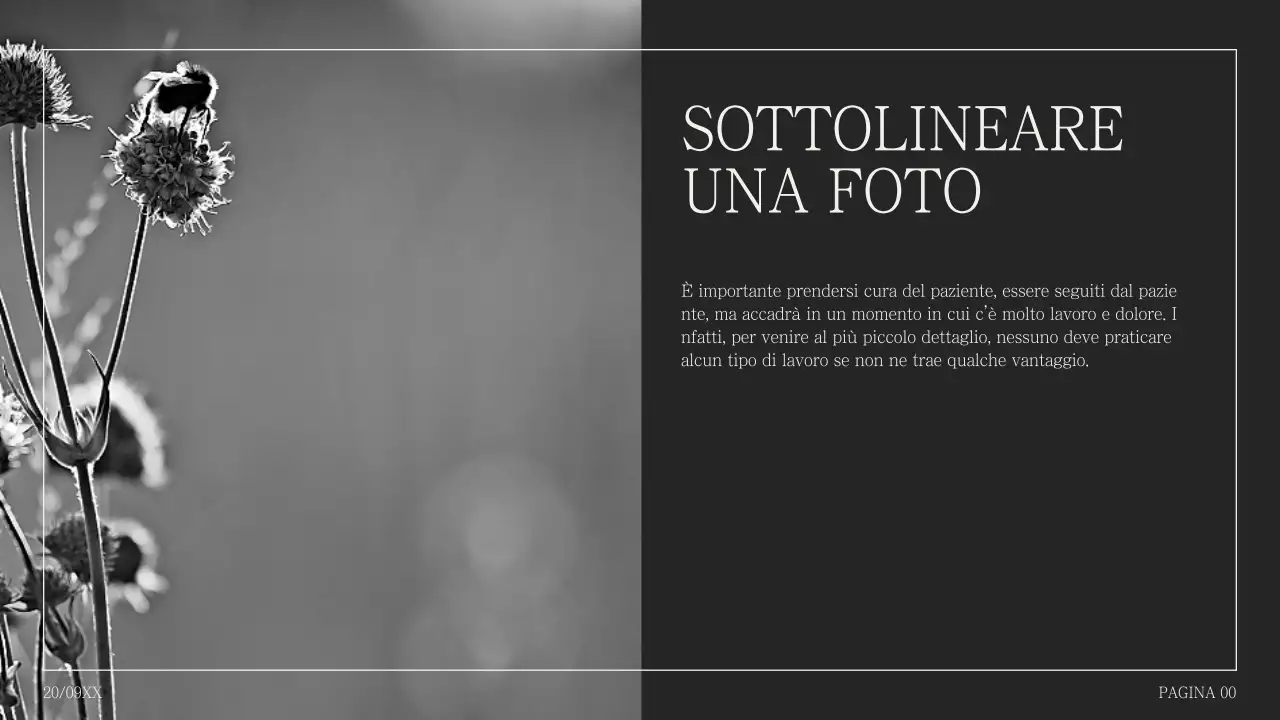 Semplice proposta di collage di foto in humpback