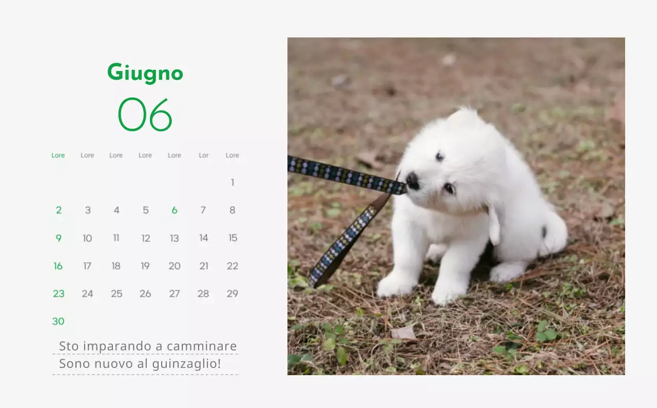 Un calendario con l'immagine di un cucciolo e un simpatico messaggio in verde.