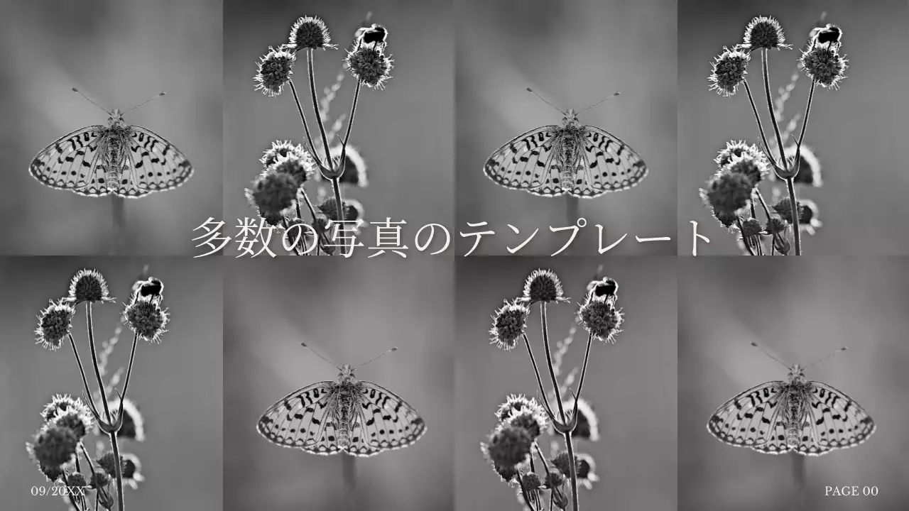 白黒 シンプル プラン プレゼンテーション