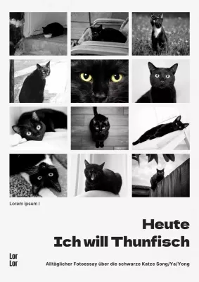 Moderne Katze Fotoessay Buchdeckel in schwarz und weiß und schwarz und weiß