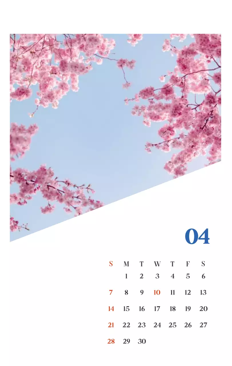 Calendario hospitalario con fotos de paisajes estacionales