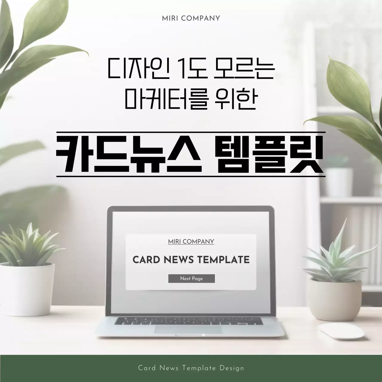 초록색과 흰색의 심플한 사진배경 프레임 기획서