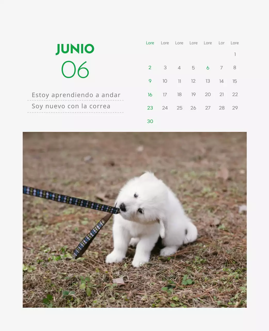 Un calendario con la imagen de un cachorro y un bonito mensaje en tonos verdes.