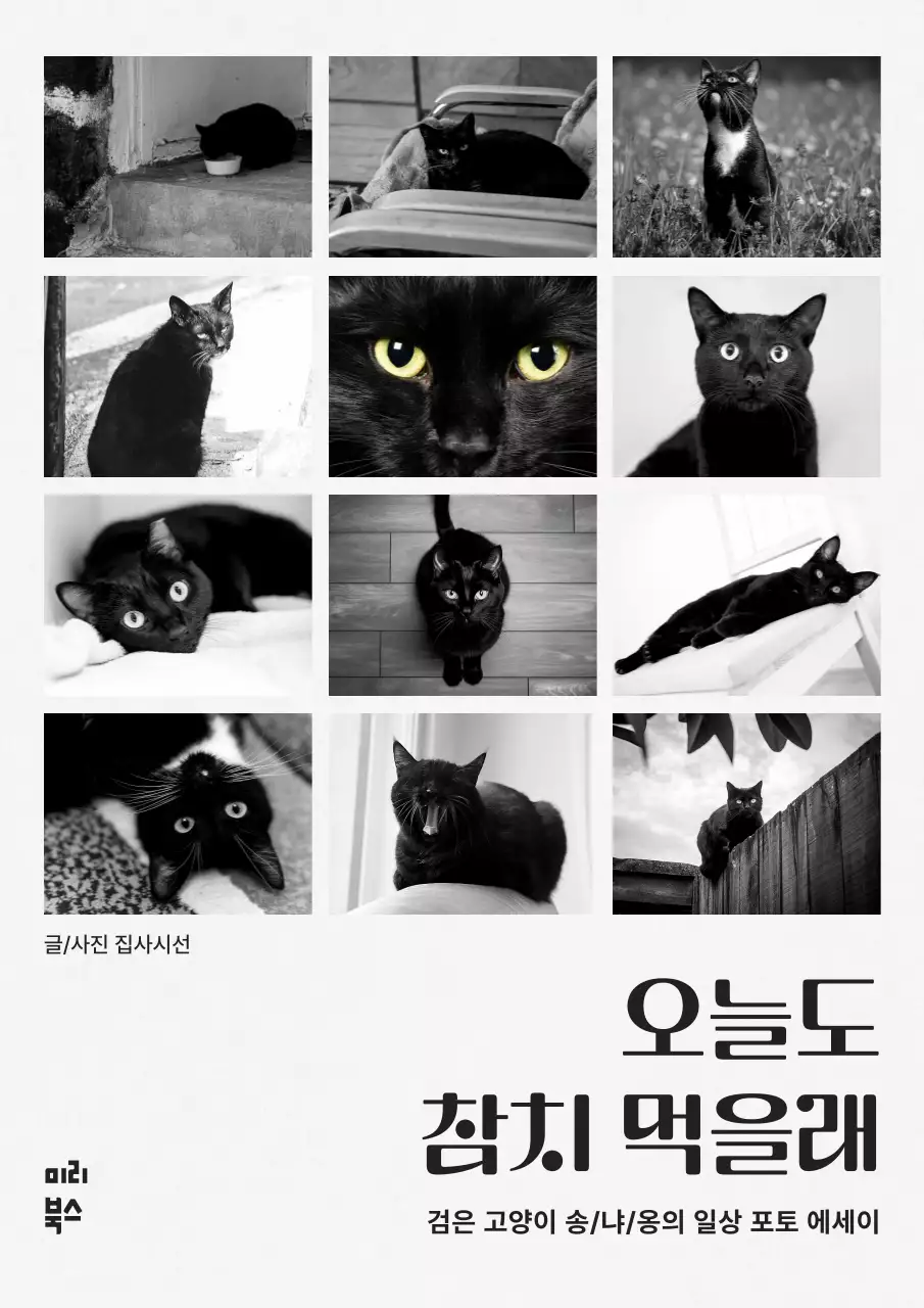 흑백과 검정의 모던한 고양이 포토 에세이 책 표지