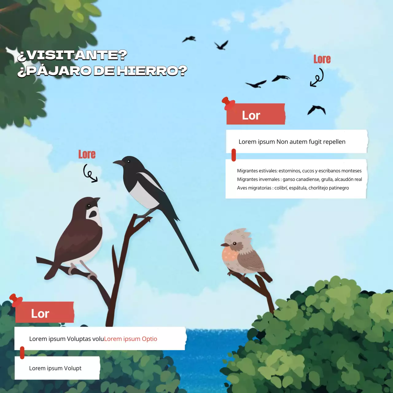 Recursos educativos del Día Mundial de las Aves Migratorias de octubre en verde y azul claro