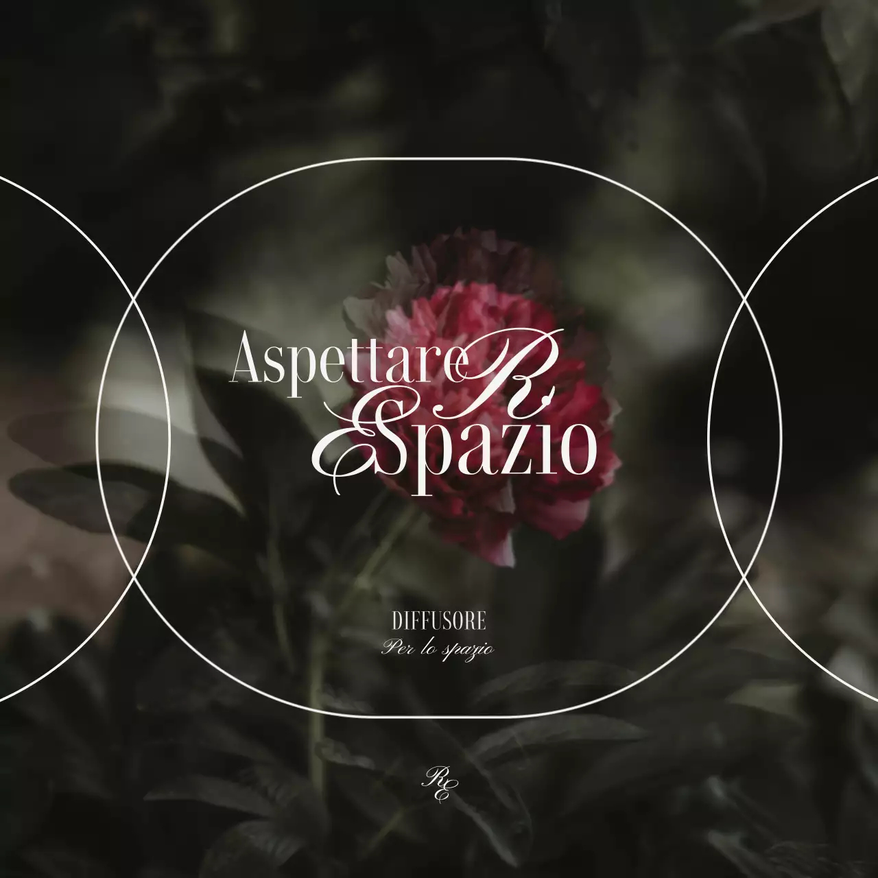 Un diffusore di lusso con immagini floreali vintage in colori tenui per mostrare i prodotti.