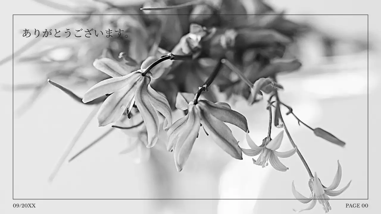 白黒 シンプル プラン プレゼンテーション