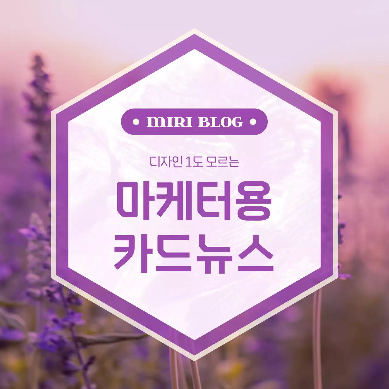 보라색의 미니멀한 마케팅 게시글