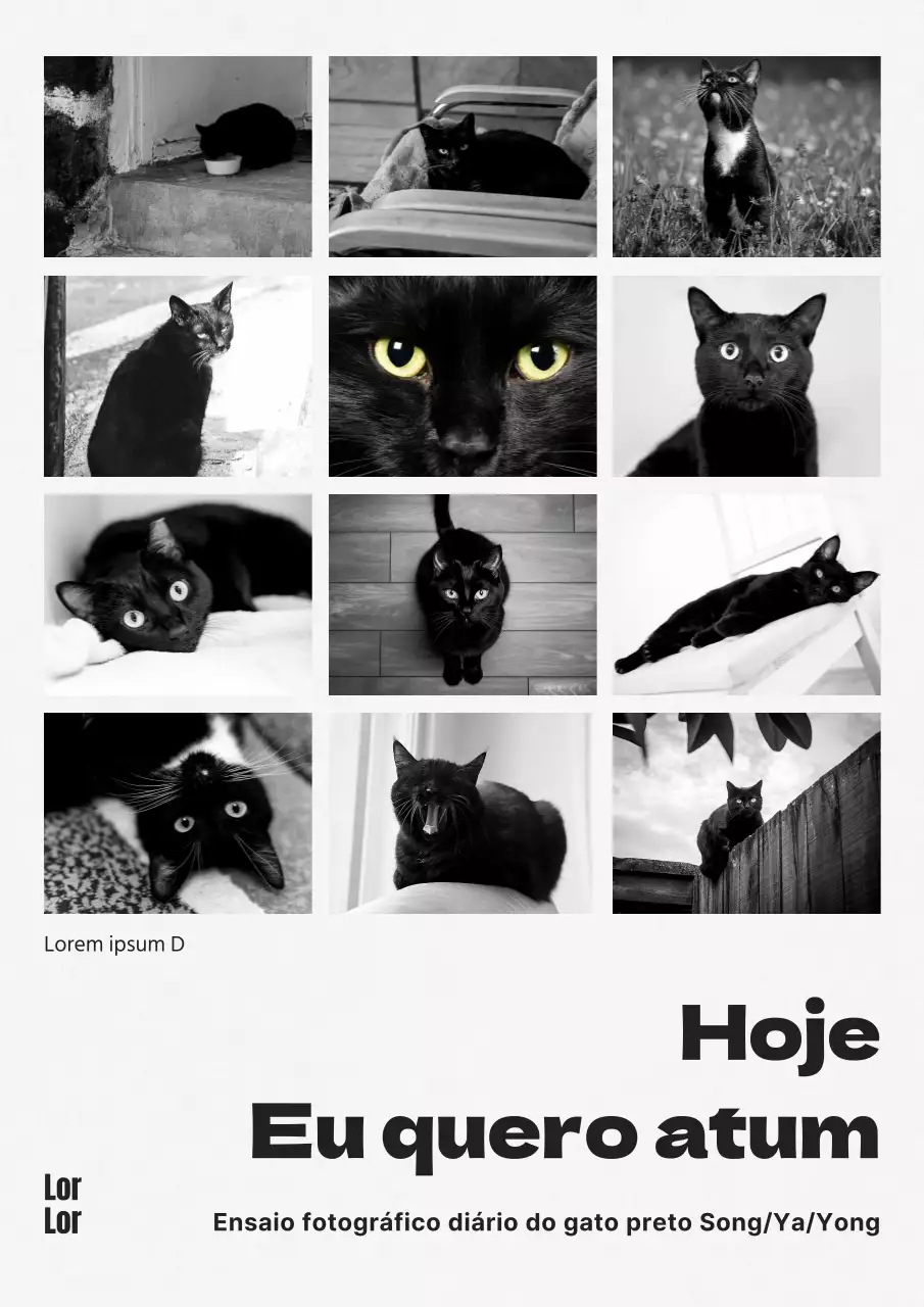 Capa de livro de ensaio fotográfico de gato moderno a preto e branco e a preto e branco