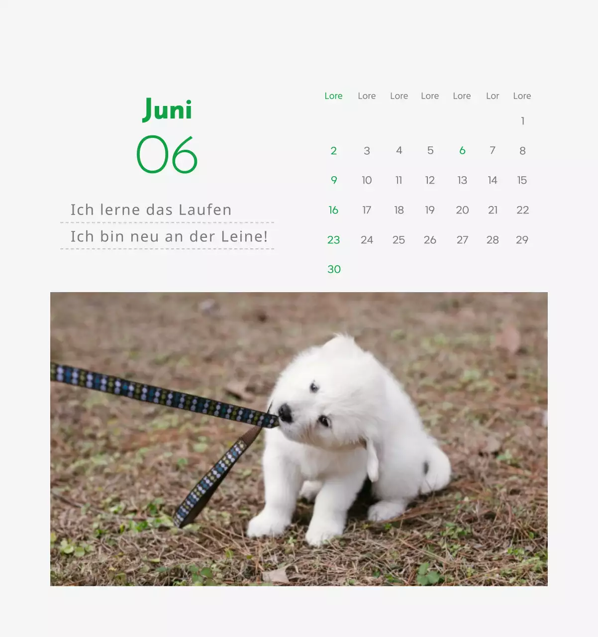 Ein Kalender mit dem Bild eines Welpen und einer niedlichen Botschaft in grünen Akzenten