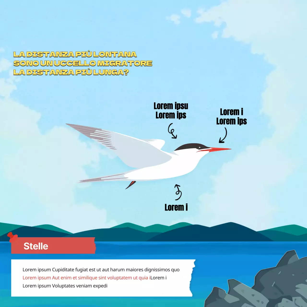 Risorse didattiche per la Giornata mondiale degli uccelli migratori di ottobre tropicale in verde e azzurro