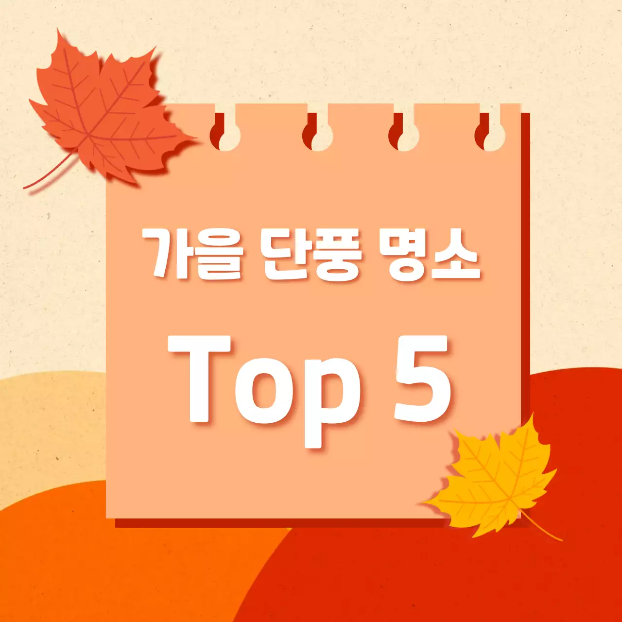 단풍이 든 풍경의 단풍명소 추천