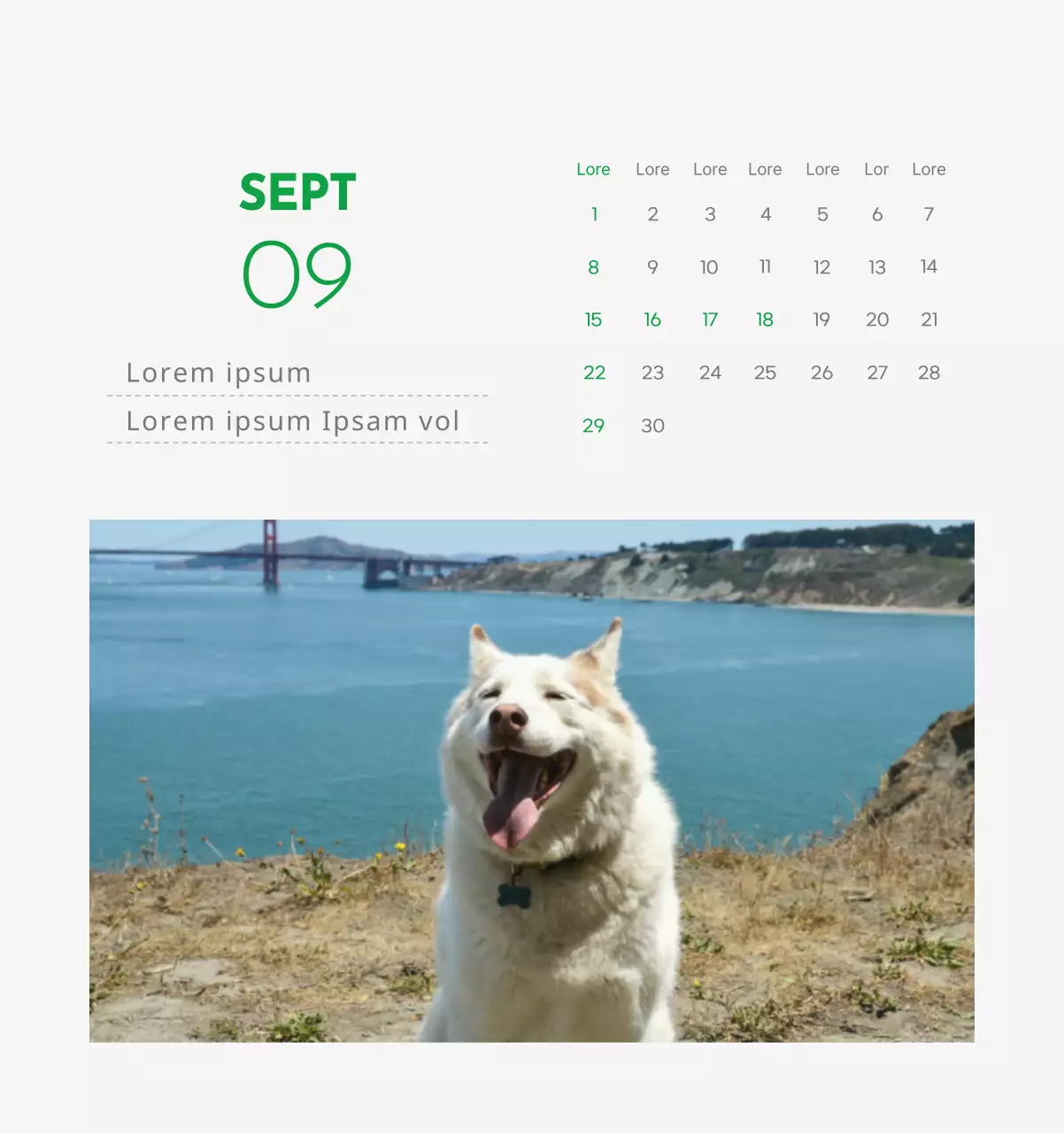 Un calendrier avec la photo d'un chiot et un message mignon aux accents verts.