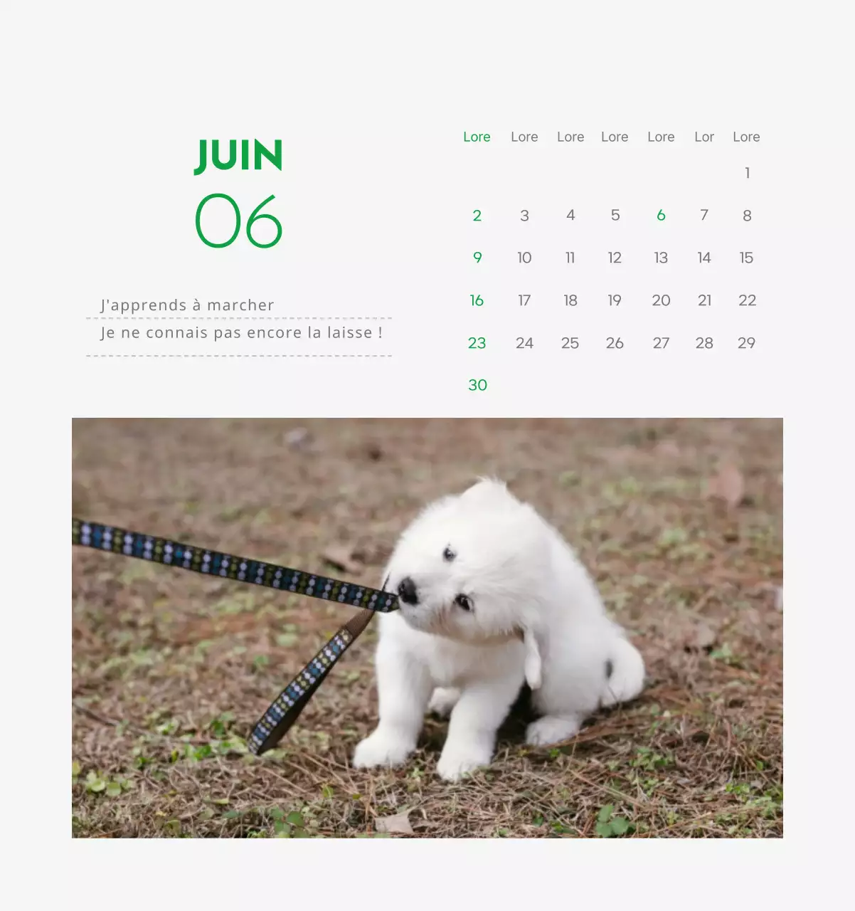 Un calendrier avec la photo d'un chiot et un message mignon aux accents verts.