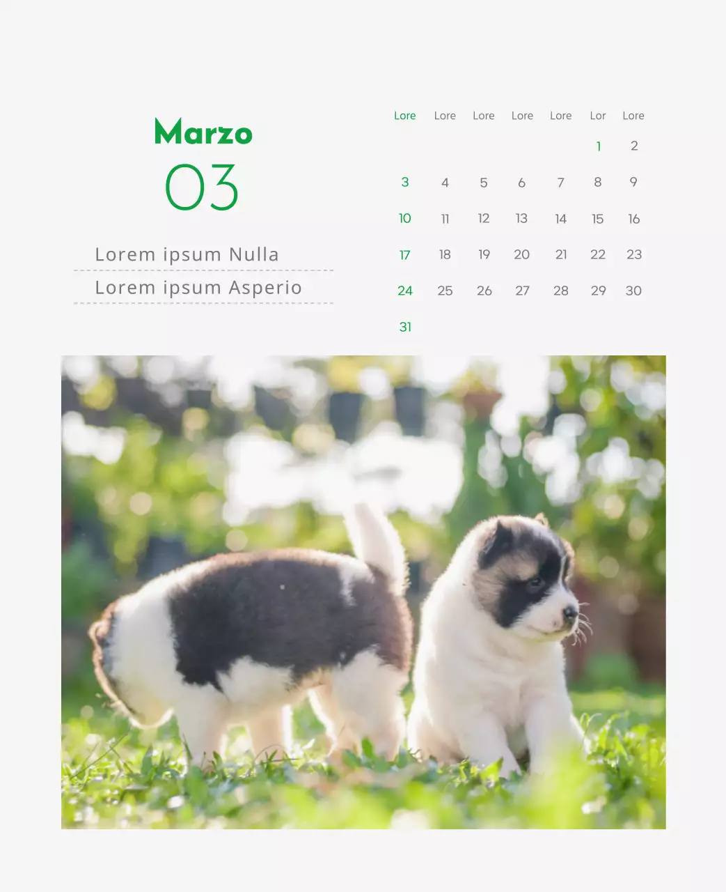 Un calendario con l'immagine di un cucciolo e un simpatico messaggio in verde.