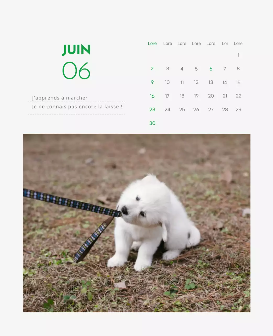 Un calendrier avec la photo d'un chiot et un message mignon aux accents verts.