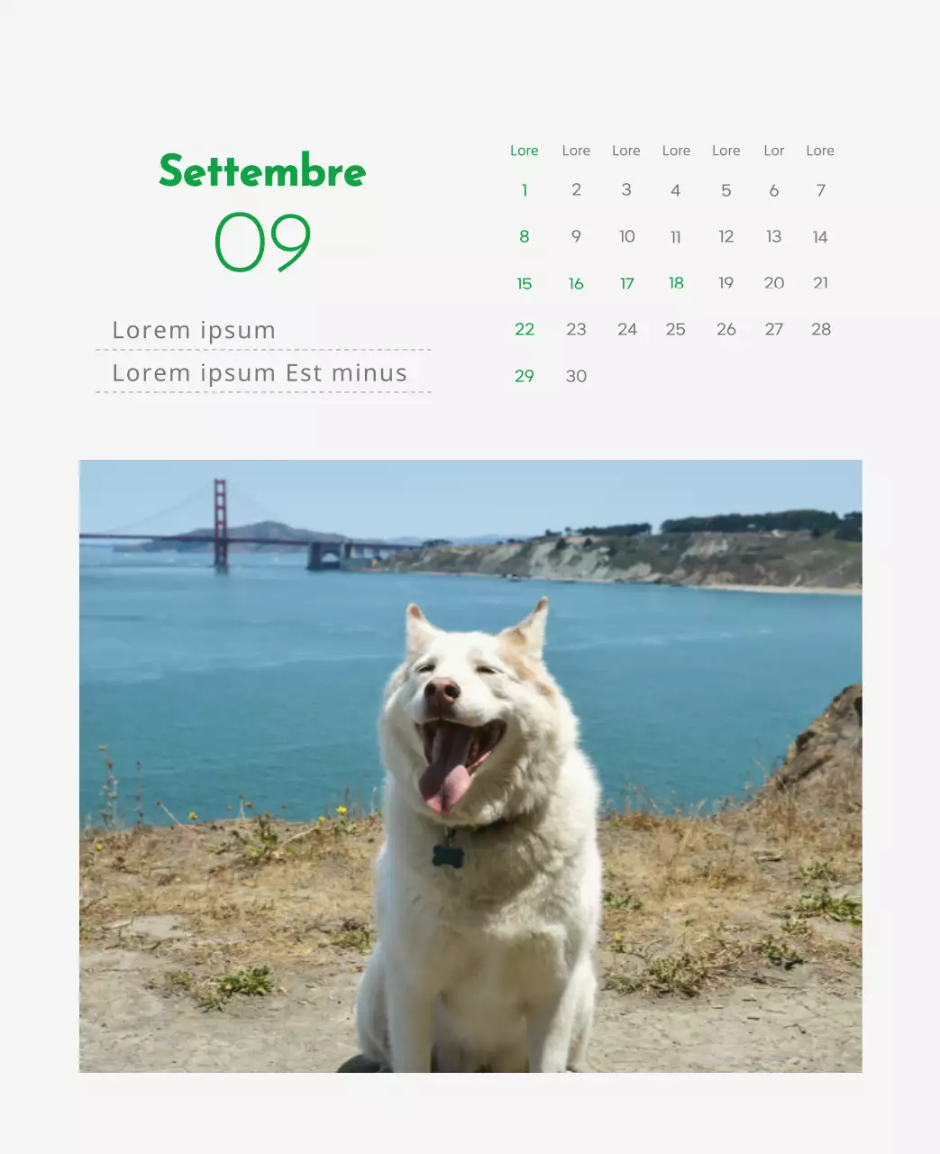 Un calendario con l'immagine di un cucciolo e un simpatico messaggio in verde.