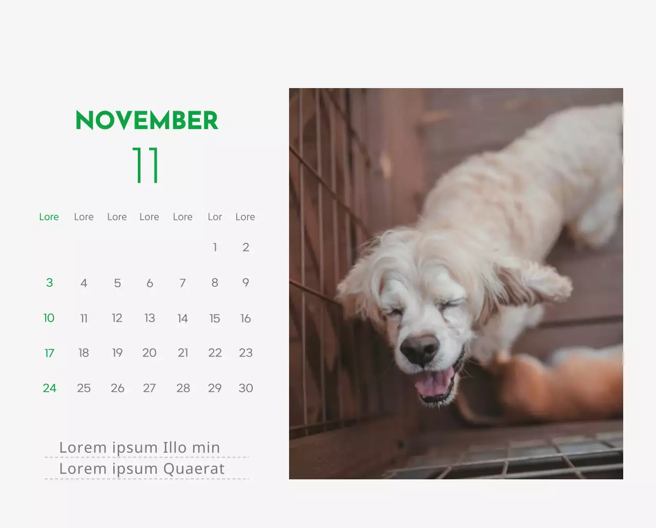 Ein Kalender mit einem Bild eines Welpen und einer niedlichen Botschaft in grünen Akzenten