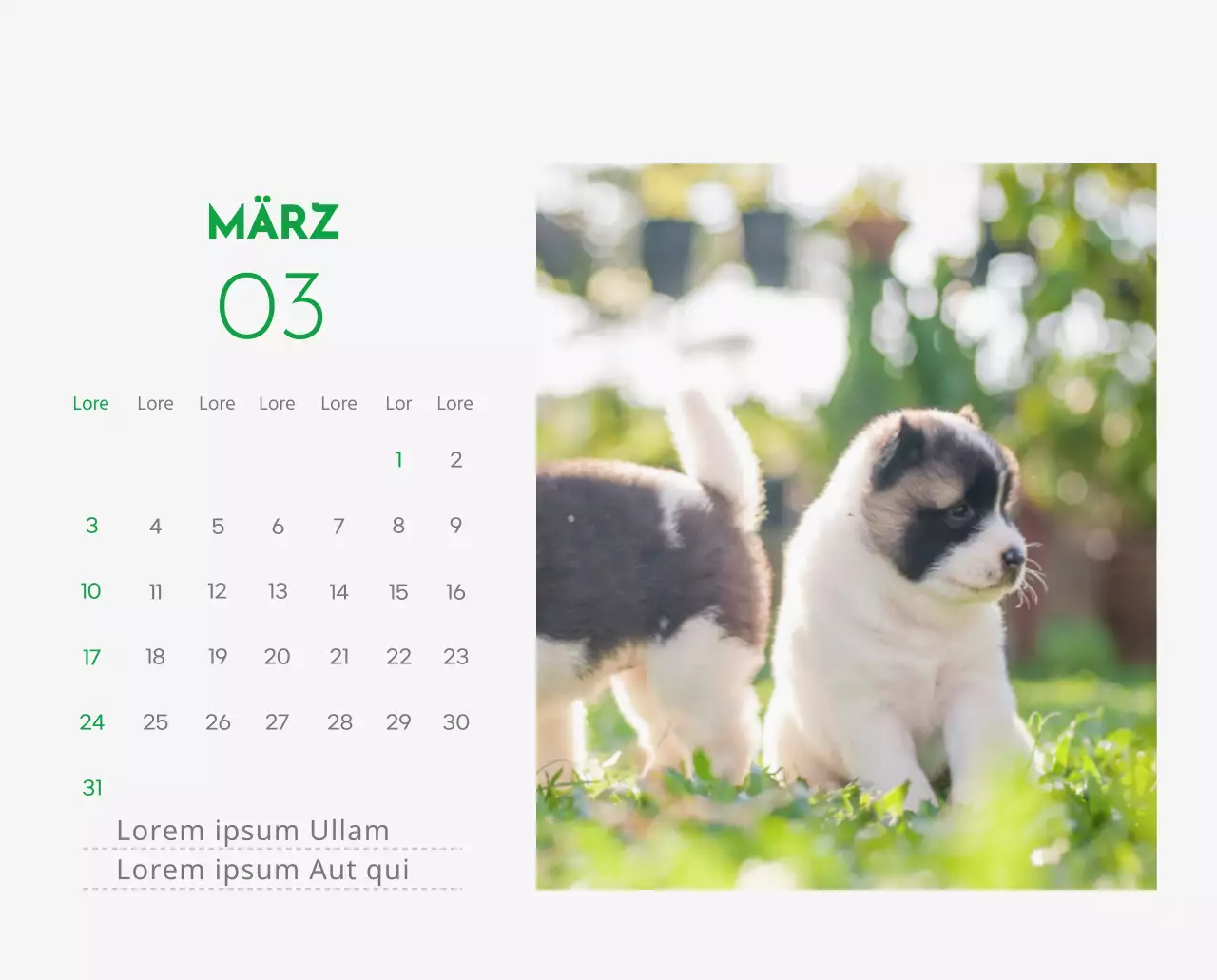 Ein Kalender mit einem Bild eines Welpen und einer niedlichen Botschaft in grünen Akzenten