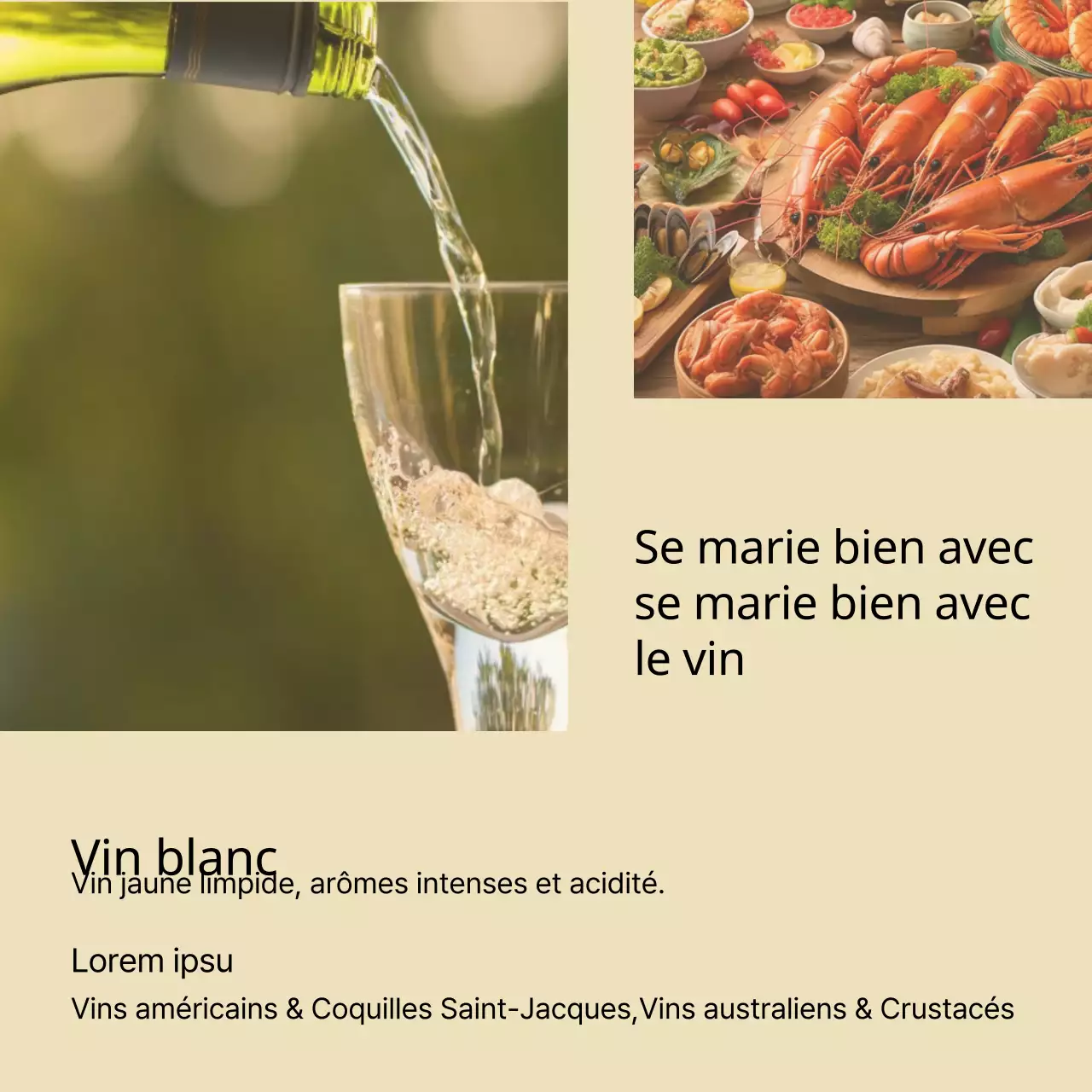 Publicité moderne de recommandation de vin en rouge et beige