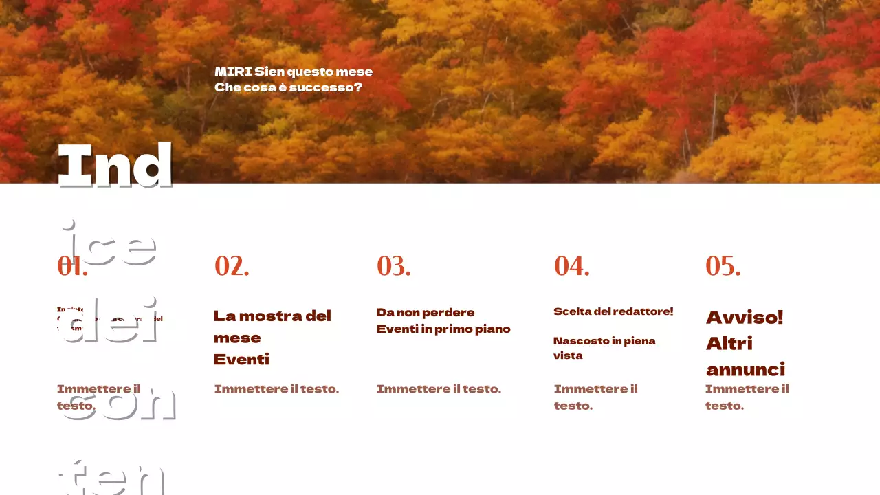 Promuovere una semplice newsletter turistica locale con accenti arancioni