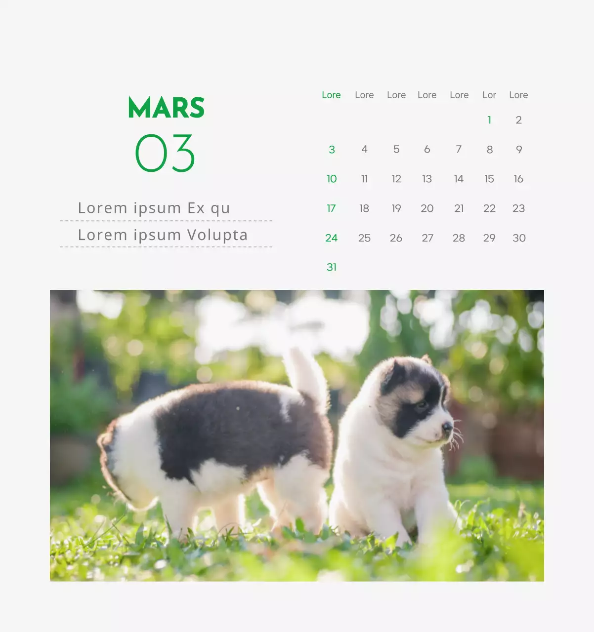 Un calendrier avec la photo d'un chiot et un message mignon aux accents verts.
