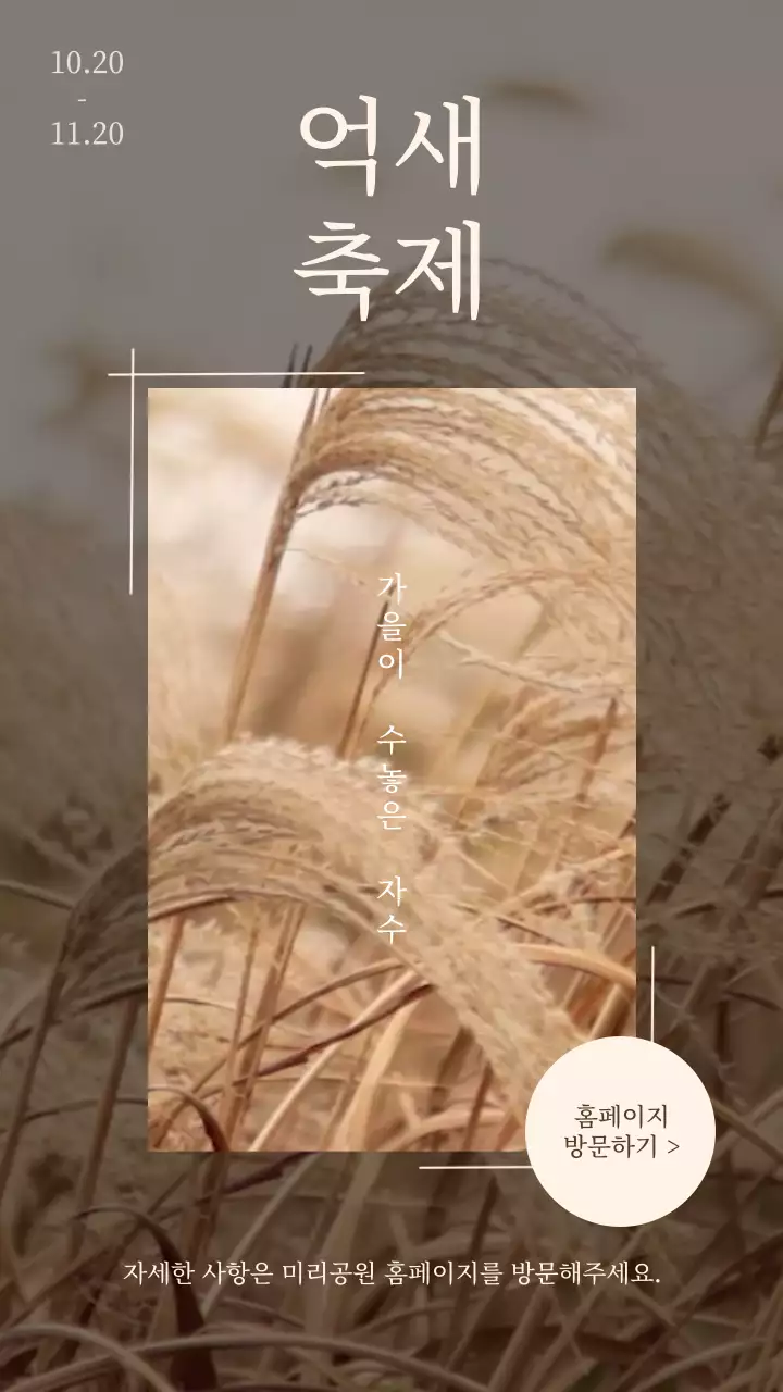 베이지의 심플한 자연의 억새축제 홍보
