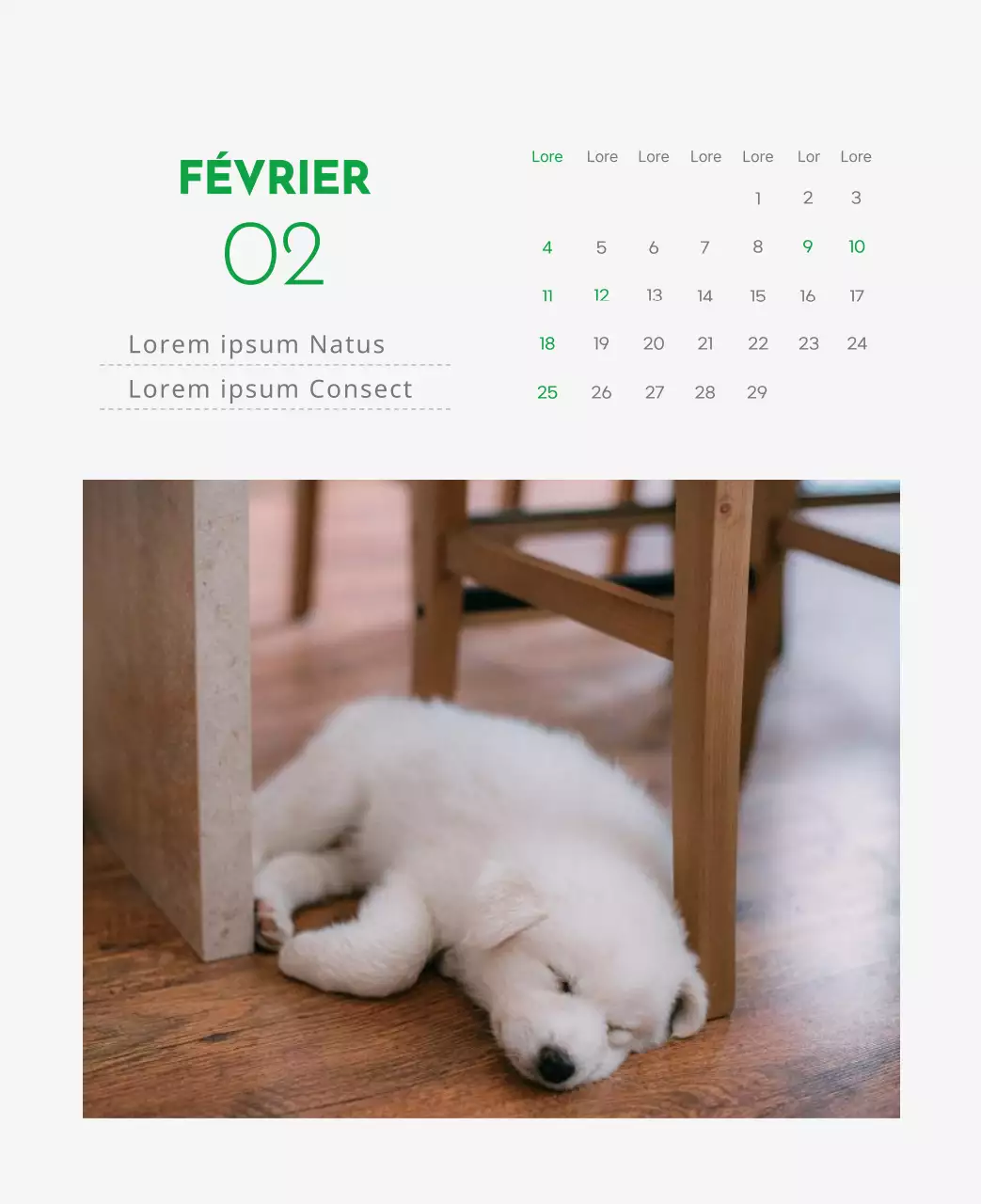Un calendrier avec la photo d'un chiot et un message mignon aux accents verts.