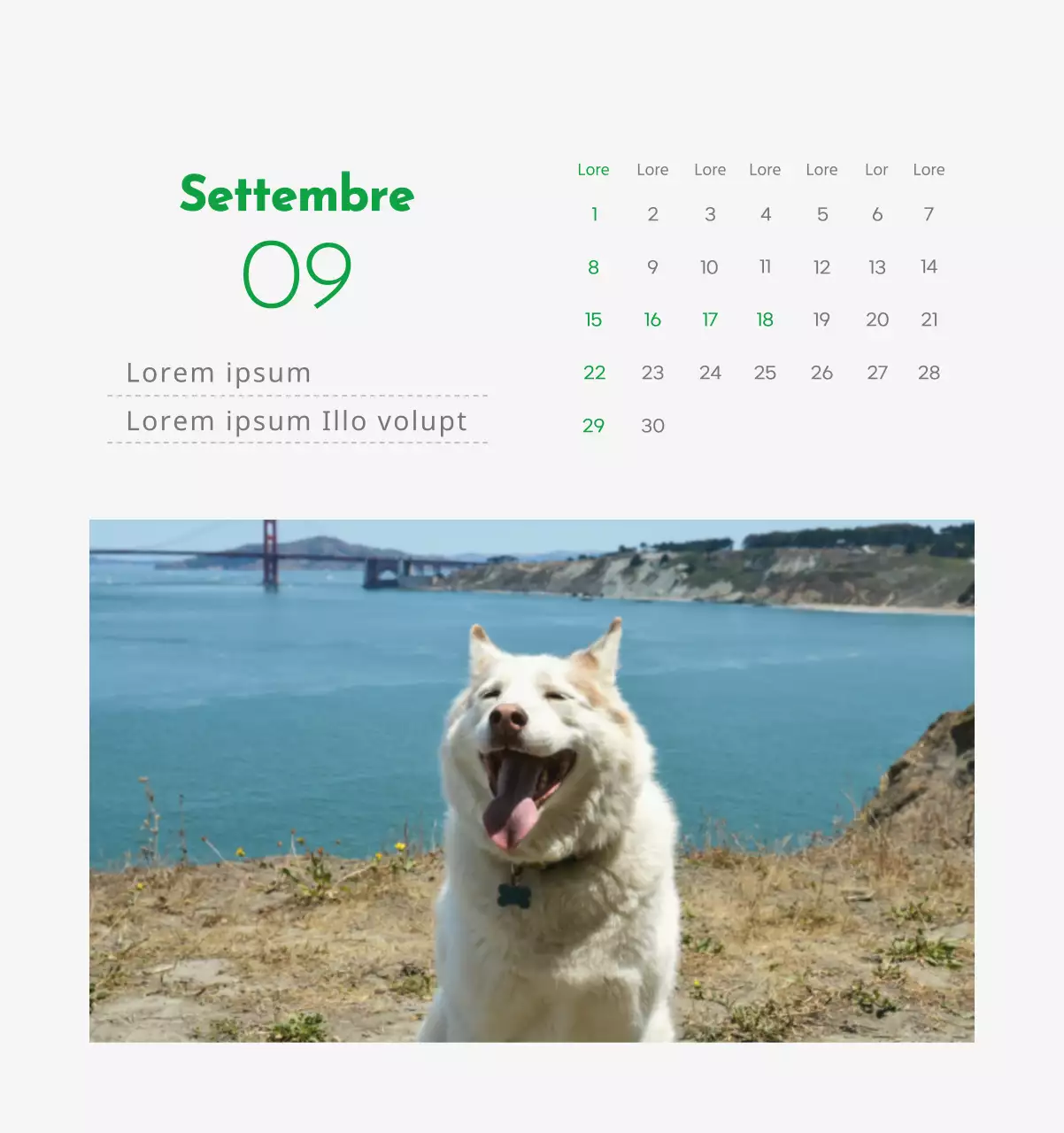 Un calendario con l'immagine di un cucciolo e un simpatico messaggio in verde.