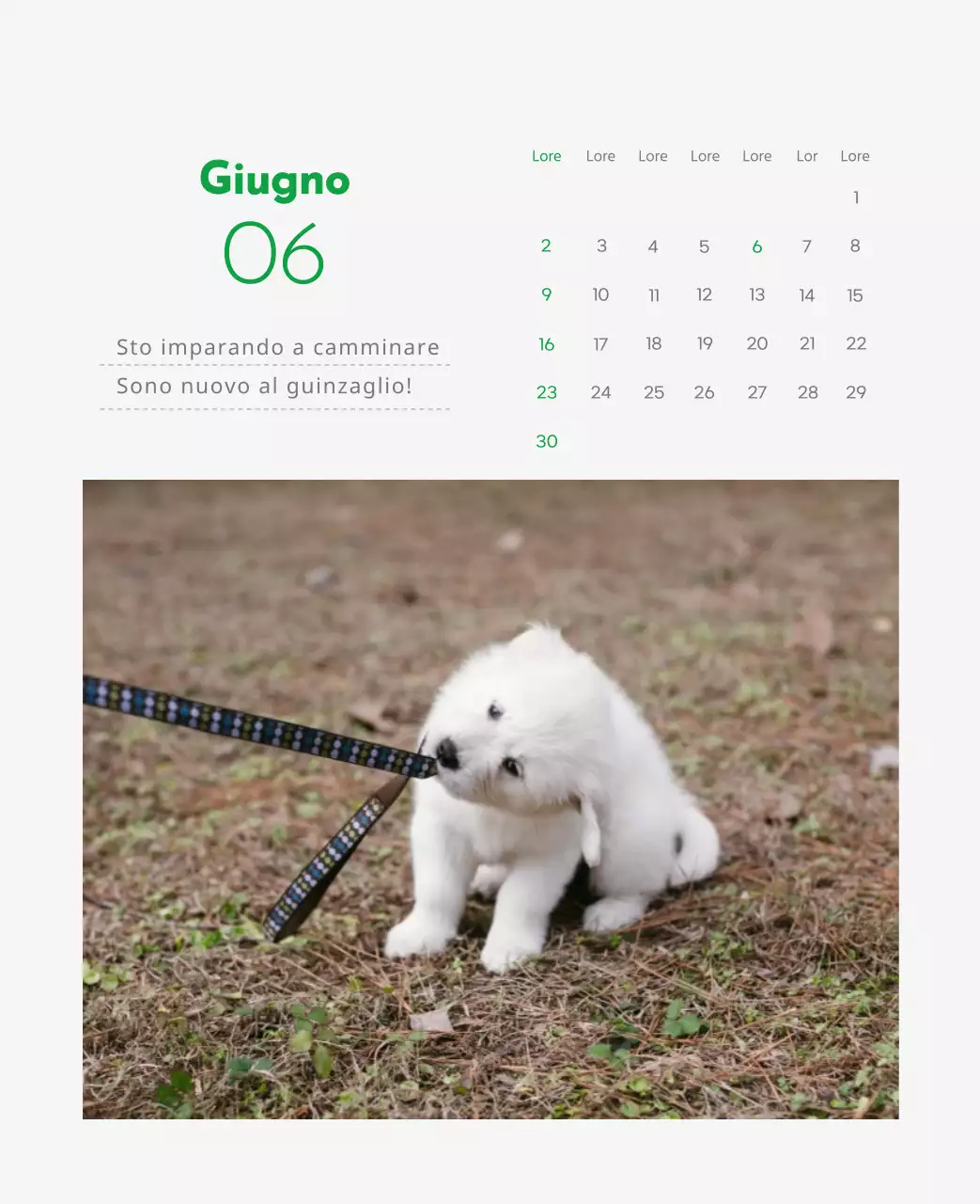 Un calendario con l'immagine di un cucciolo e un simpatico messaggio in verde.