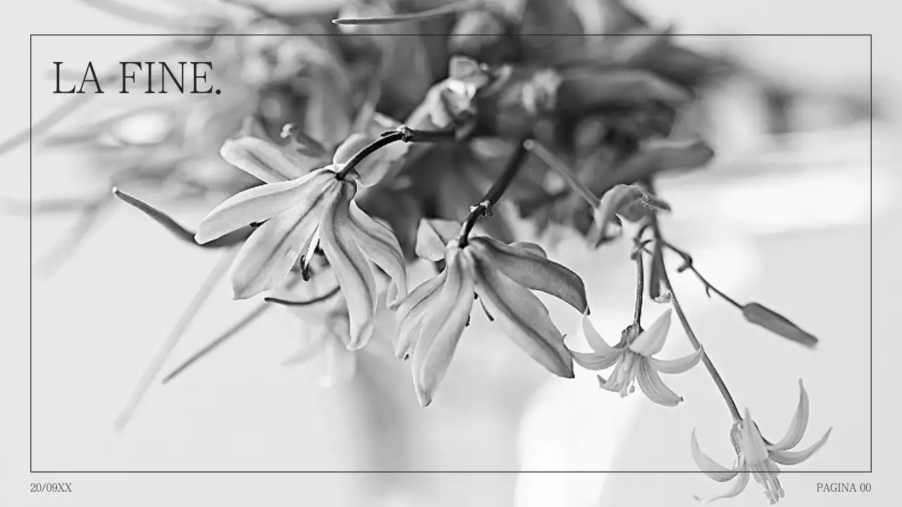 Semplice proposta di collage di foto in humpback